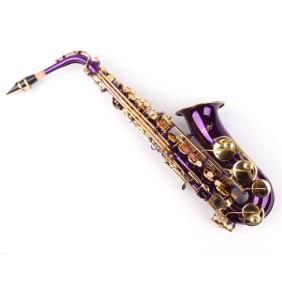 Karl Glaser ® Sassofono contralto viola + chiavi curve dorate Sassofono viola e oro Neuenkirchen-Germania