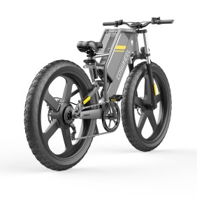 Bicicletta elettrica Coswheel T26, 750 W, 45 km/h, 25 AH, autonomia 180 km, 26 pollici grasso, grigia