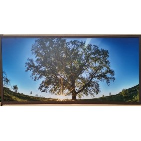 DRAGUS Pannello radiante infrarossi stampato, immagine Green Tree 125x60cm, 900W-700W, 10kg, 25-40 mc