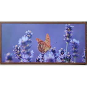DRAGUS Pannello radiante infrarossi, stampato, image Butterfly 125X60 cm, 900W-700W, 10 kg, 25-40 mc