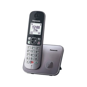 Telefono digitale cordless Panasonic, LCD, grigio