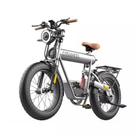Bicicletta elettrica COSWHEEL T20R, 750W, Autonomia 150 km, 45 km/h, 48V 20AH Staccabile, Ruote FAT 20*4.0 pollici, Grigio