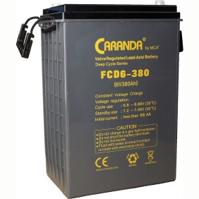 Batteria a ciclo profondo 6V 380Ah FCD6-380