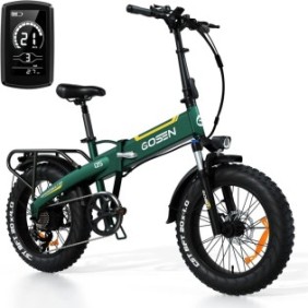 Bicicletta elettrica pieghevole Q5/Q5 Plus, GOSEN, 750W, 20'', 13Ah, Verde