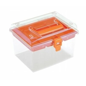 Organizer, Prosperplast, Plastica, 14,8x13,5x11 cm, Arancione/Trasparente