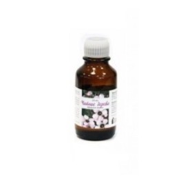 Olio essenziale Spa Point 25 ml per sauna con aroma di tea tree