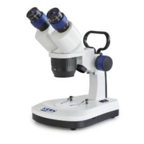 Stereomicroscopio Kern & Sohn, OSE 421 binoculare, oculari WF 10× Ø 20,0 mm