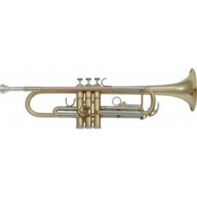 Tromba SML Paris TP300, Per principianti, Metallico, Lacca dorata, Custodia, Mi bemolle, Oro