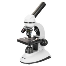 Scoperta Nano Microscopio Polare