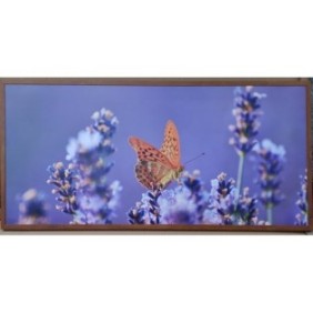 DRAGUS pannello radiante infrarossi stampato image Butterfly 127/60cm 1100W/850W, 220V, 10kg 35-50mc