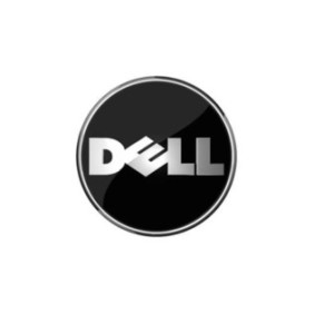 Disco rigido Dell sì SAS da 300 GB sì 3,5", 15.000 giri/min, Seagate Eagle