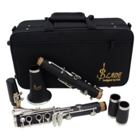 Vassoio per clarinetto 17 chiavi e 6 anelli, scatola imbottita inclusa, accessori per la pulizia, cilindro di ricambio, nero