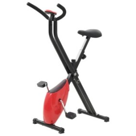 Bicicletta da fitness magnetica X-Bike, vidaXL, 78 x 41 x 113 cm, Rosso/Nero