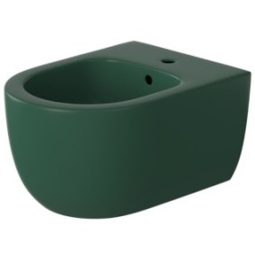 Vaso bidet EGO Michael, 49x36 cm, Verde, Power Color, semiopaco, installazione sospesa, con troppopieno