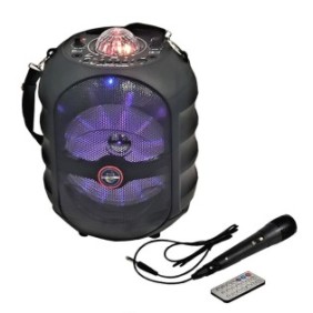 Altoparlanti karaoke portatili Royal CH-838, 8 pollici, microfono, batteria ricaricabile, Bluetooth, radio FM, USB, lettore di schede micro SD