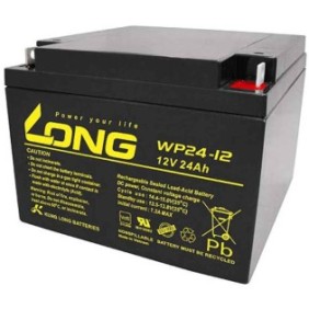 Batteria WP24-12 LUNGA, 12V 24Ah per UPS