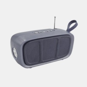 elSales ELS-615 altoparlanti portatili con Bluetooth, AUX, USB, lettore di schede, torcia elettrica, radio FM, ricarica solare, grigio