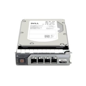 Disco rigido Dell 1 TB 3,5" LFF SAS 12 Gb/s 7,2 K RPM 512n Nearline (NL)