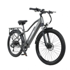 Bicicletta elettrica RX70, 48V, 18AH, 800W, 25 km/h, Grigia