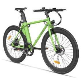 Bicicletta elettrica, Fafrees, 250W, 36V, 25Km/h, Verde