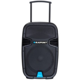 Altoparlanti portatili professionali Blaupunkt Bluetooth FM/SD/USB/AUX/KARAOKE 650W PA12