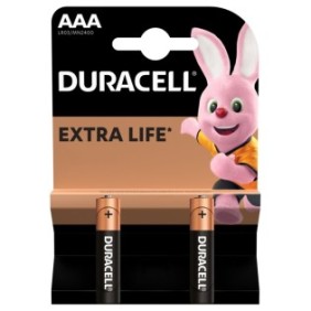 Batteria alcalina Duracell Basic R3 (AAA) 2 pezzi