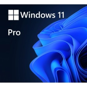 Licenza retail di Microsoft Windows 11 Pro, 64 bit, Tutte le lingue, chiavetta USB