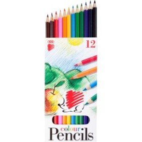 Set di 12 matite colorate riccio