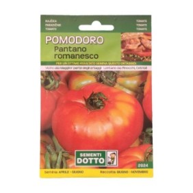 Semi Di Pomodoro Gigante Pantano Romanesco, 1 grammo, Sementi Dotto