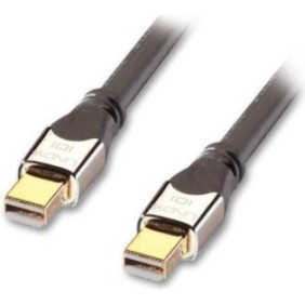 594345 Lindy DisplayPort Mini - Cavo DisplayPort Mini 2m argento (41542)