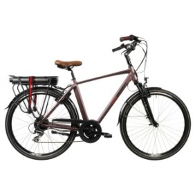 Bicicletta elettrica Devron 28221 - 28 pollici, L, Marrone