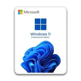 Chiavetta USB con licenza Microsoft Windows 11 Professional Retail