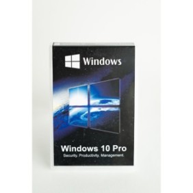 Licenza al dettaglio di Microsoft® Windows 10 Pro, USB