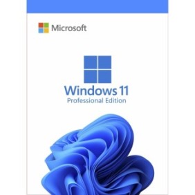 Licenza al dettaglio di Microsoft Windows 11 Professional