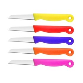 Set coltelli, Acciaio inossidabile, 5 pezzi, 16,5 x 6,5 cm, Multicolor