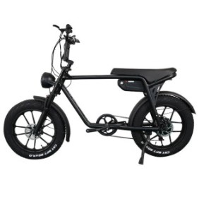 Bicicletta elettrica, Elettrica, E3, 750 W, 17 Ah, Nera