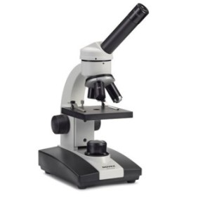 Microscopio LED Euromex per studenti