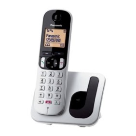 Telefono digitale cordless Panasonic, LCD, Argento/Nero