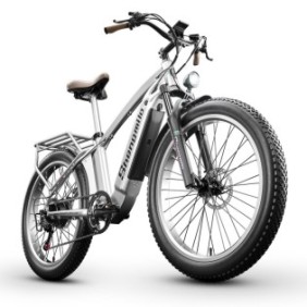 Bici elettrica Shengmilo MX04, motori BAFANG1000W, Samsung 48V15AH, argento