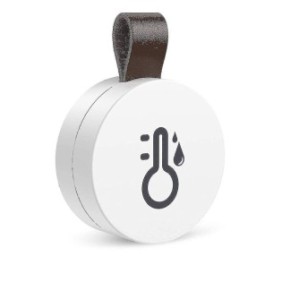 Termometro wireless, Cozevdnt, Bluetooth, Bianco/Nero