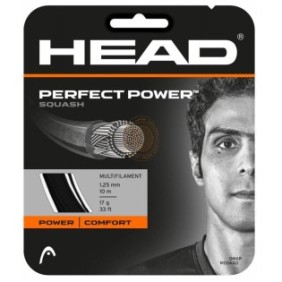 Connessione Squash Head Perfect Power