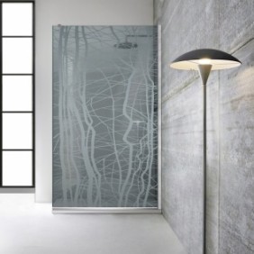 Parete doccia walk-in Aqua Roy ® INOX, modello Manhattan incolore, vetro grigio 8 mm, protetto, anticalcare, 120x195 cm