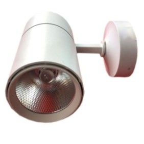Proiettore LED spot da 30w Bianco freddo 6000k-6500k