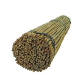 Set canne in bambù, Dixiestore, 194 cm, 50 pz, Marrone