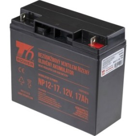 Batteria T6 Power compatibile con NP12-17, 12V, 17Ah