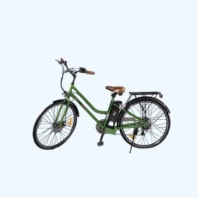 Bicicletta elettrica con batteria rimovibile, Shimano 7 velocità, batteria Li-Ion 36V, potenza 250W, verde