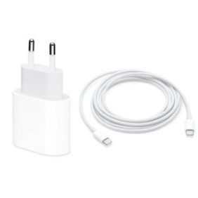 Caricabatterie per iPad Apple Fast Charge da 18 W e cavo dati USB-C-USB-C Fast Charge da 1 m