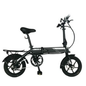 Bicicletta elettrica pieghevole EcoBuzz